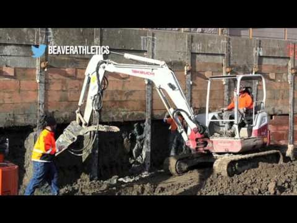 @TheBuzzer: ¿Era del hielo?