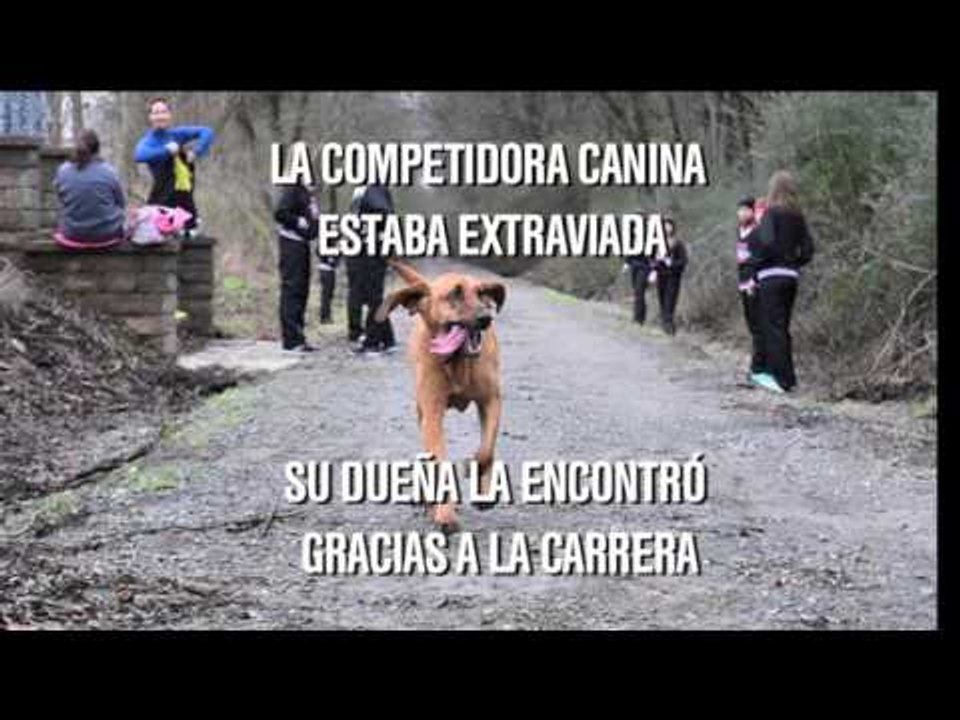 @TheBuzzer: Maratón canino