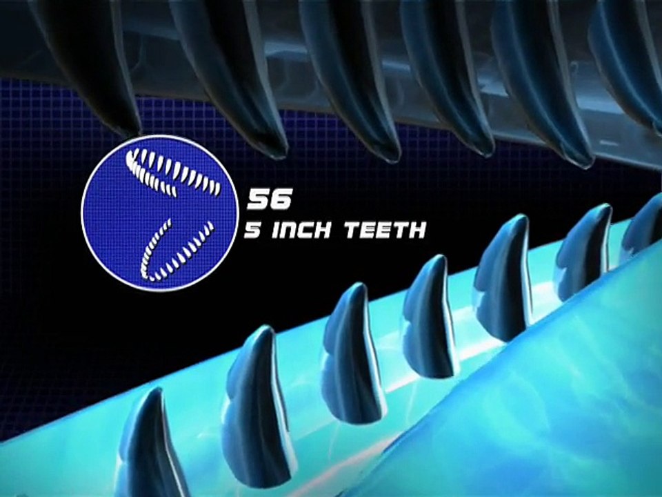 Nature's perfect predators - orca