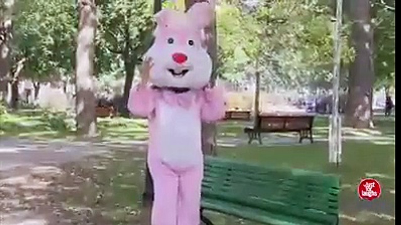 Broma de la Coneja