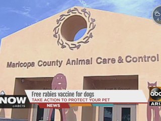 FREE rabies vaccine for dogs