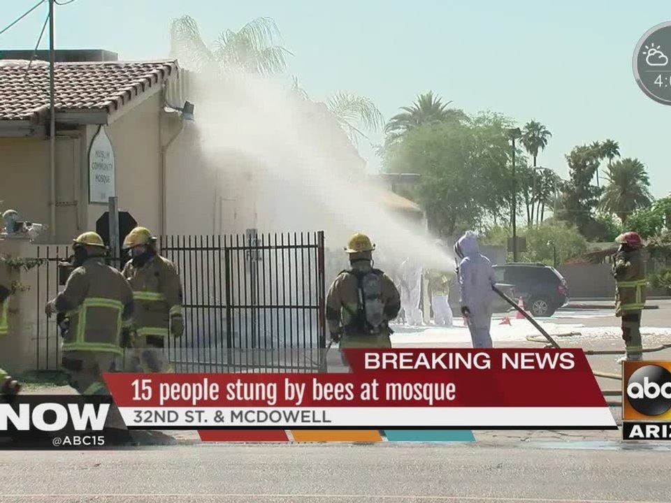 15 people stung by bees at mosque