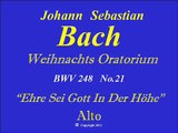 Bach-Alto-No 21 BWV248-Ehre Sei Gott .wmv