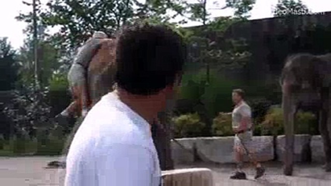 Climp an Elephant