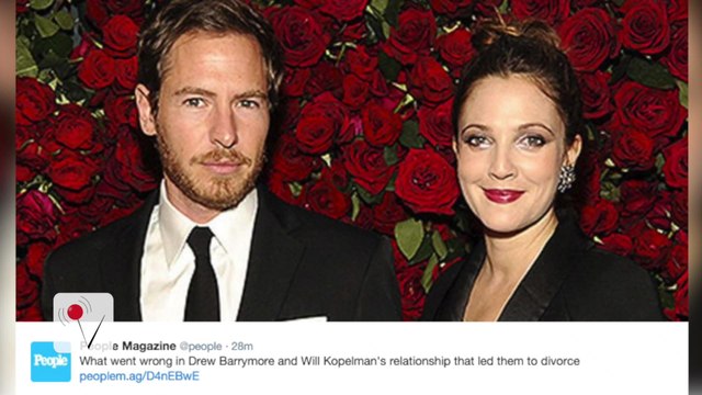 Drew Barrymore and Husband Will Kopelman Split