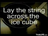 How to lift an ice cube without touching it