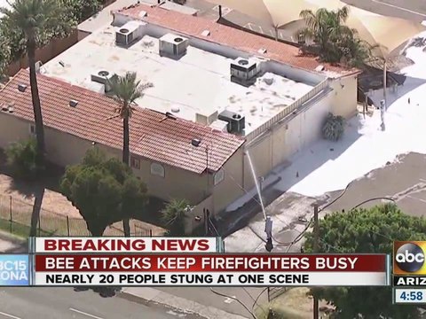 Firefighters called to two bee attacks