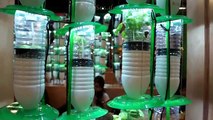 Gardening Ideas how to make Your Indoor Garden DIY Project with using Plastic Bottles
