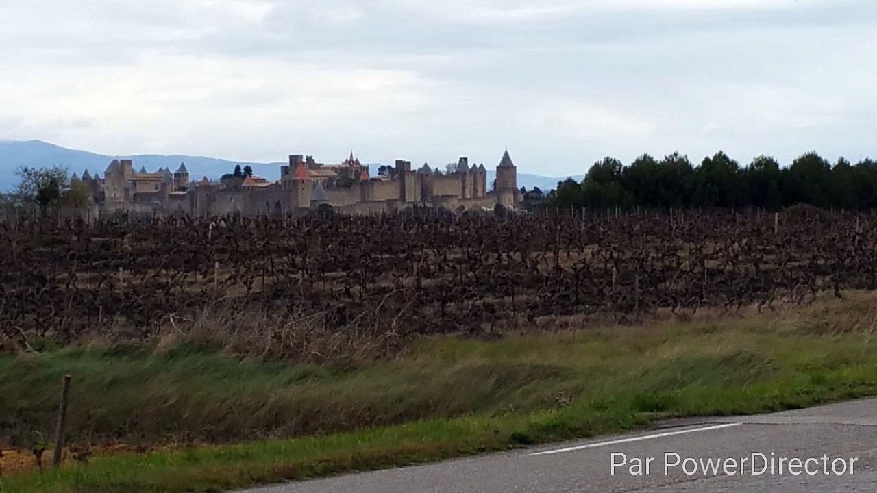 Cité de Carcassonne mars 2016