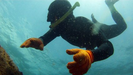 Convite ao Pedal solidário nos mares do Sul e do Norte, RJ e SP, mergulhando e  convidando a todos,  Ubatuba, SP, Brasil, 2016