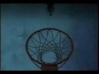 InuYasha, Gravitation, Fruits Basket, Yami no Matsuei