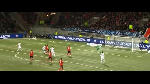 Zlatan Ibrahimovic Goal ~ Lorient vs PSG 0-1 19.04.2016