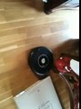 Roomba irobot robotic hoover!