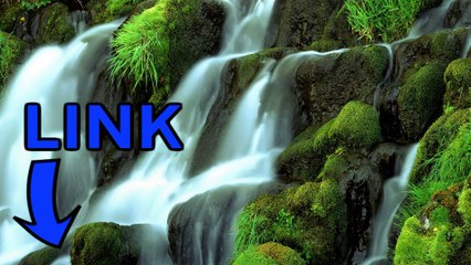 Download Plague Inc: Evolved steam key generator telecharger