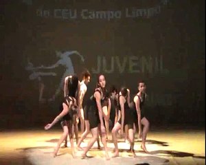 Dirty Dancing "The Time of my Life"  (detalhe)