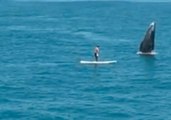 Whale Greets Paddle Boarder in Spectacular Fashion