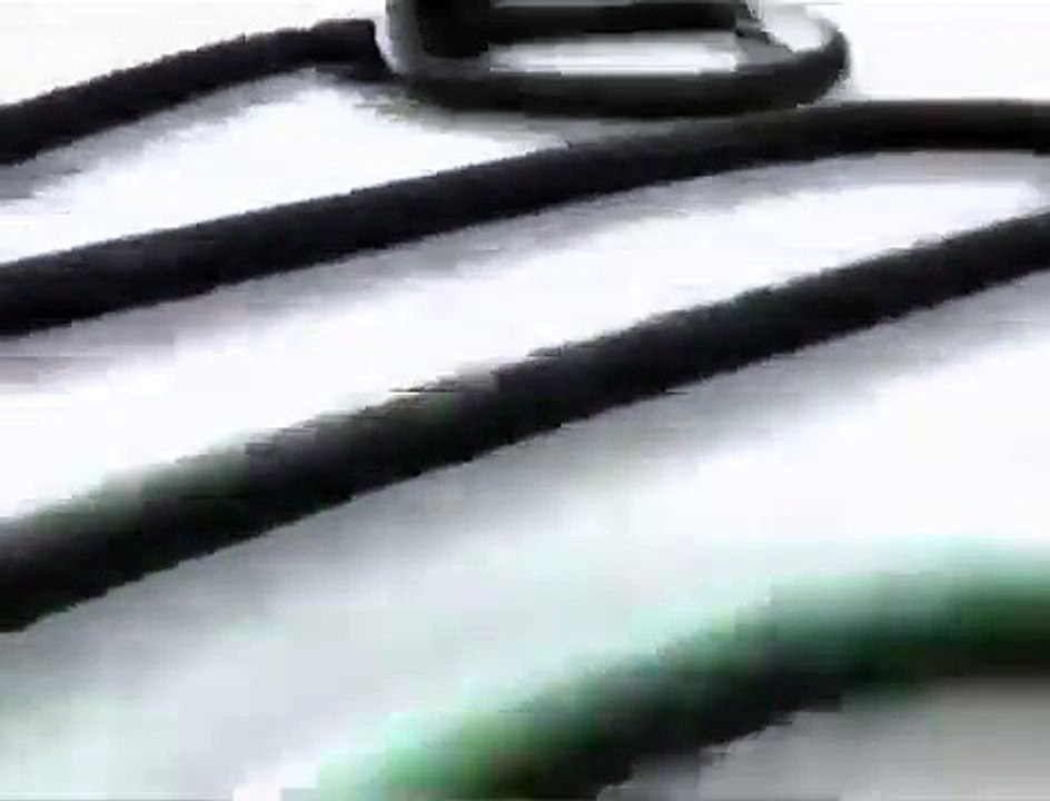 Dinossauros para divertir Crianças e adultos