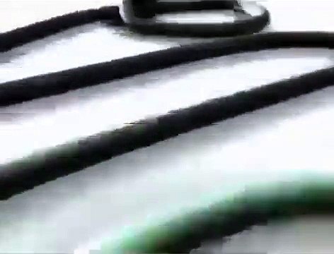 Dinossauros para divertir Crianças e adultos