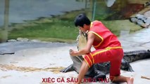 XIẾC CÁ SẤU - NHẠC THIẾU NHI BỐ ƠI BỐ LÀ TẤT CẢ