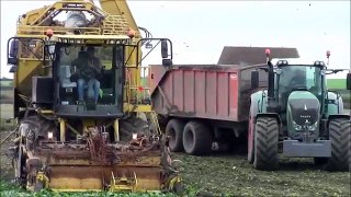 Beet harvesting & ploughin n drillin.2013.wvm