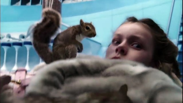 Charlie and the Chocolate Factory - Official Trailer HD 2016 - Latest Hollywood Trailers - Songs HD