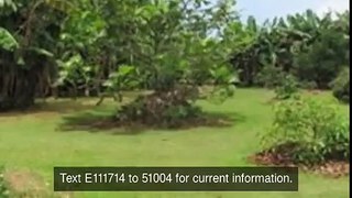Oahu Real Estate For Sale, 59-720 Kawoa Way, Haleiwa Hawaii