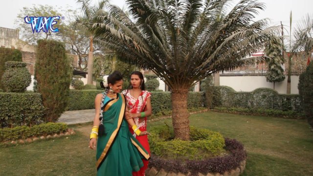 गवने के दिन छुवे मशीन - Sukh Sejiya Ke Le La | Roshan Paney | Bhojpuri Hot Song 2016