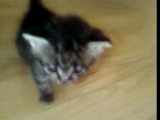 Bagera et Lithium la rencontre