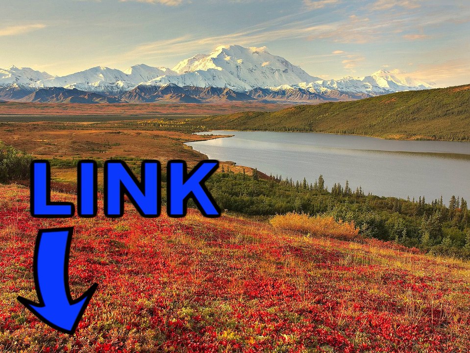 Download Pillars of Eternity telecharger