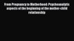 [Read book] From Pregnancy to Motherhood: Psychoanalytic aspects of the beginning of the mother-child