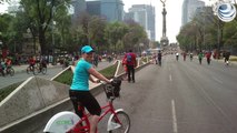 Google Maps traza rutas para ciclistas