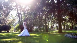 Wedding (Stock Footage)