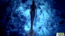 real life Mermaids Attacked By Giant Shark - jall pari fish - amazing videos