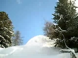 Les Cuches Didier : Un incontournable