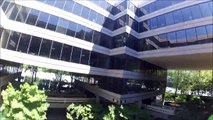 FPV - Office Cruising