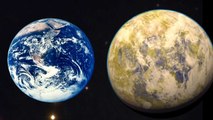 Earth-like Planet May Exist In A Nearby Star System