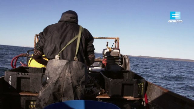 Atlàntico Sur Golfo San Matías documental completo latino