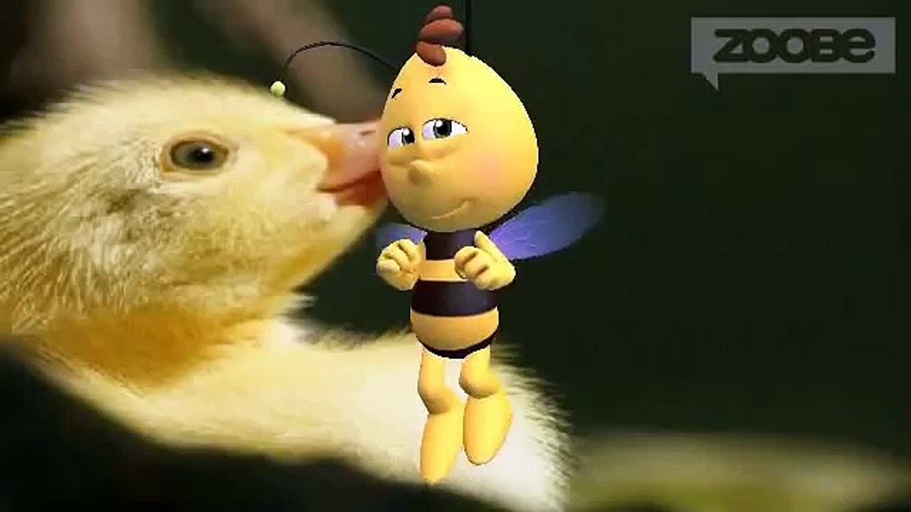 ♥ Happy Birthday Geburtstag Alles Gute zum Geburtstag Biene Maja & Willi ♥