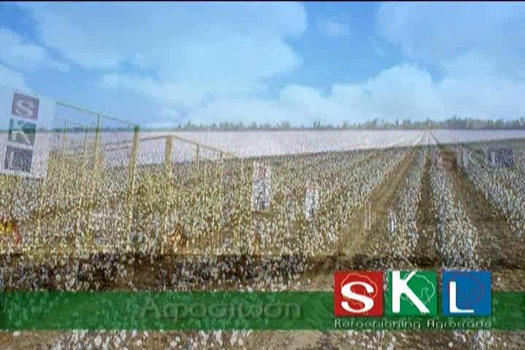 Στέρεα Λόγια 19-4-2016 Μητροπολίτης Θηβών και Λ...