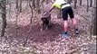 Un promeneur courageux vient en aide à un bélier coincé dans un arbre