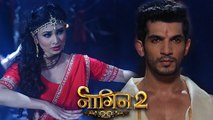 Naagin Season 2: Shivanya and Ritik to Reunite To Take Revenge | Plot Revealed