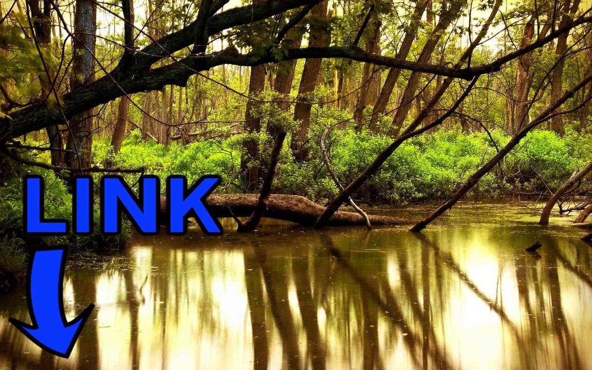 Medieval II: Total War key generator