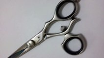 Professional Hair Cutting Scissors Barber Shears Hairdressing Japan Steel 6.5