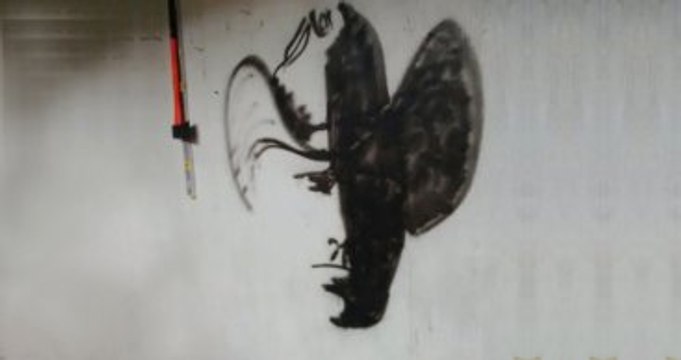 Sosyal Medyada Dolaşan Resmin Ne Olduğunu Kimse Anlayamıyor