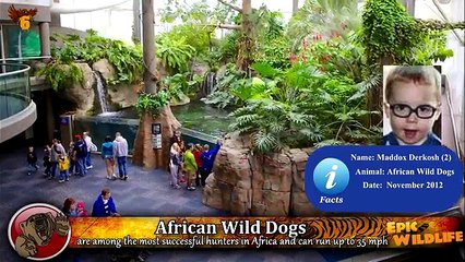 8 Most Devastating Animal Attacks