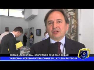 Valenzano |  Workshop internazionale sulla Xylella