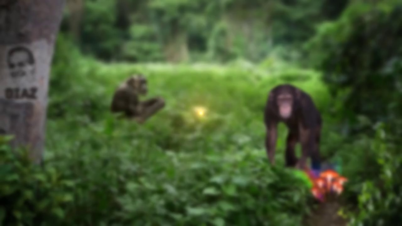 Joe Rogan talks Conor McGregor - Nate Diaz Rematch and Cyborg joining UFC