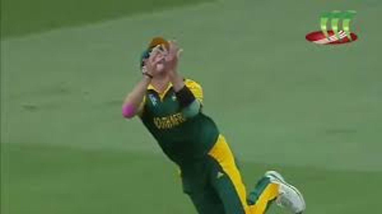 Funniest Failed Dropped Catches in Cricket History__