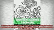 READ book  Spiritual Garden Coloring Zen and Secret Nature Magic Designs and Garden Coloring Book  BOOK ONLINE