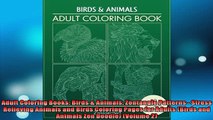 FREE DOWNLOAD  Adult Coloring Books Birds  Animals Zentangle Patterns  Stress Relieving Animals and  FREE BOOOK ONLINE